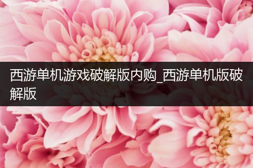 西游单机游戏破解版内购_西游单机版破解版