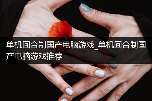 单机回合制国产电脑游戏_单机回合制国产电脑游戏推荐