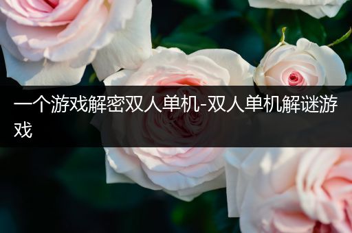 一个游戏解密双人单机-双人单机解谜游戏