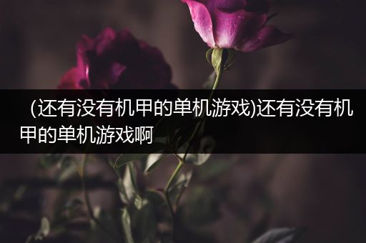 （还有没有机甲的单机游戏)还有没有机甲的单机游戏啊