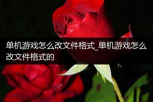 单机游戏怎么改文件格式_单机游戏怎么改文件格式的