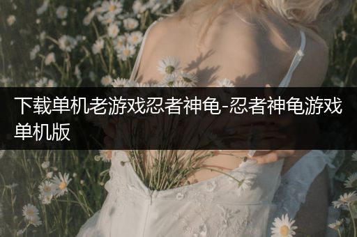 下载单机老游戏忍者神龟-忍者神龟游戏单机版