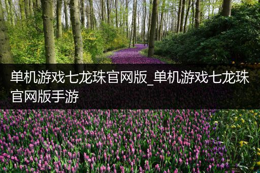 单机游戏七龙珠官网版_单机游戏七龙珠官网版手游