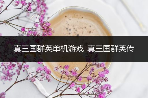 真三国群英单机游戏_真三国群英传