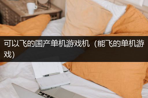 可以飞的国产单机游戏机（能飞的单机游戏）
