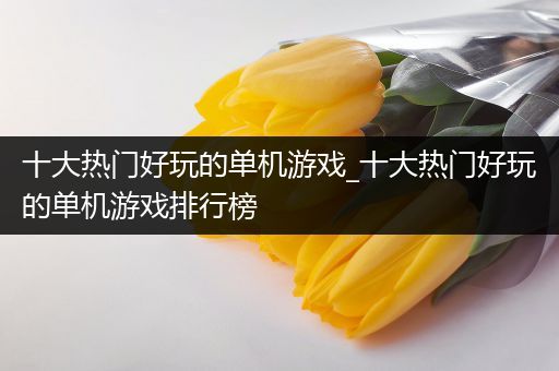 十大热门好玩的单机游戏_十大热门好玩的单机游戏排行榜