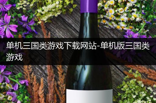 单机三国类游戏下载网站-单机版三国类游戏