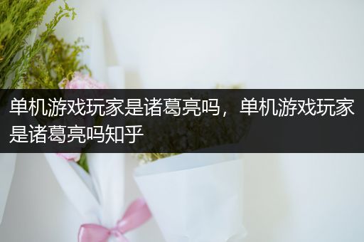 单机游戏玩家是诸葛亮吗，单机游戏玩家是诸葛亮吗知乎