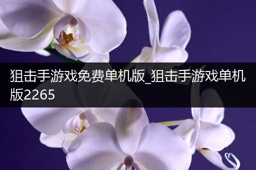 狙击手游戏免费单机版_狙击手游戏单机版2265