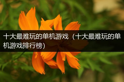 十大最难玩的单机游戏（十大最难玩的单机游戏排行榜）