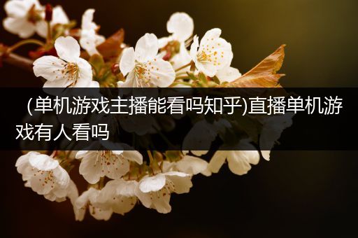 （单机游戏主播能看吗知乎)直播单机游戏有人看吗