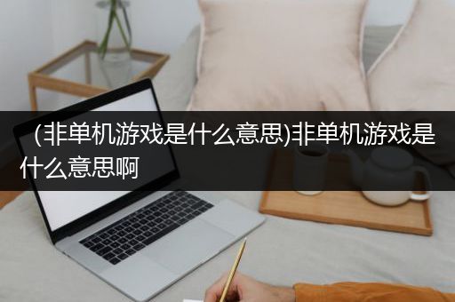 （非单机游戏是什么意思)非单机游戏是什么意思啊