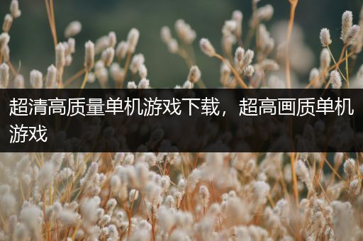 超清高质量单机游戏下载，超高画质单机游戏