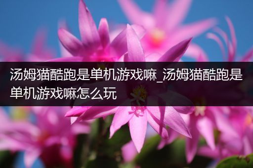 汤姆猫酷跑是单机游戏嘛_汤姆猫酷跑是单机游戏嘛怎么玩