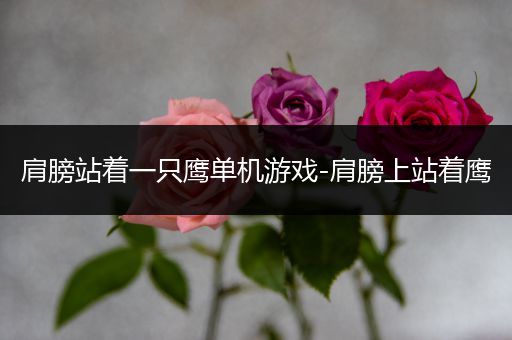 肩膀站着一只鹰单机游戏-肩膀上站着鹰