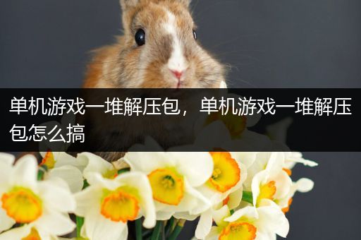 单机游戏一堆解压包，单机游戏一堆解压包怎么搞