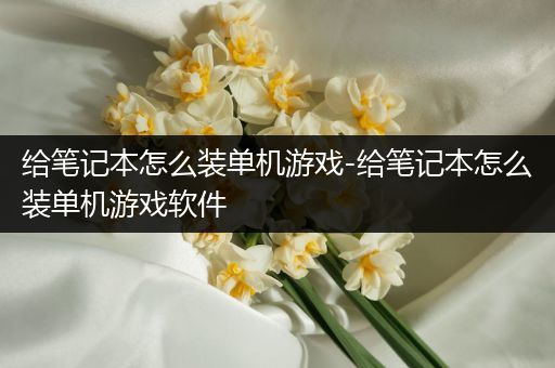 给笔记本怎么装单机游戏-给笔记本怎么装单机游戏软件