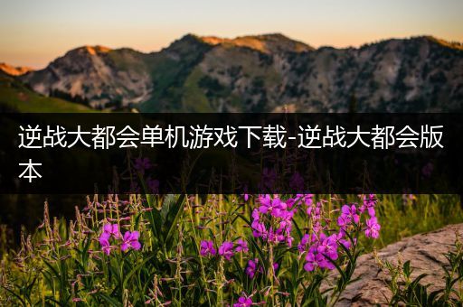 逆战大都会单机游戏下载-逆战大都会版本