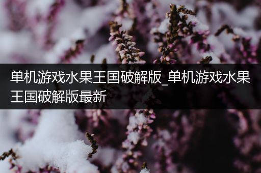 单机游戏水果王国破解版_单机游戏水果王国破解版最新
