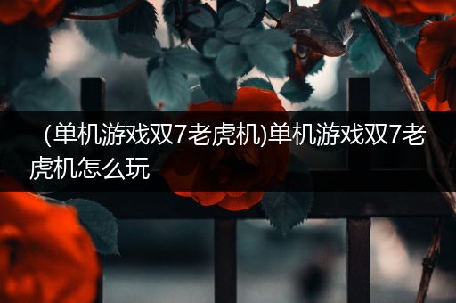（单机游戏双7老虎机)单机游戏双7老虎机怎么玩