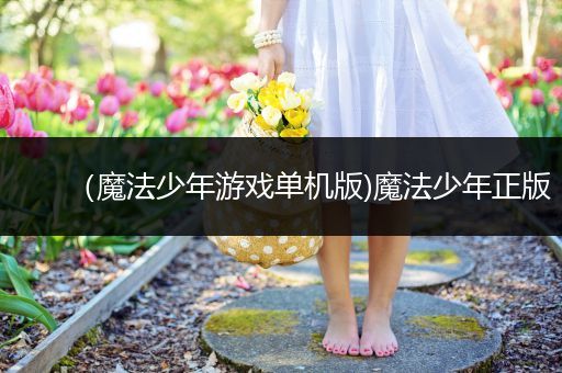（魔法少年游戏单机版)魔法少年正版