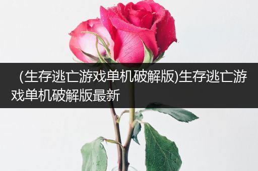 （生存逃亡游戏单机破解版)生存逃亡游戏单机破解版最新