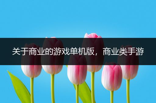 关于商业的游戏单机版，商业类手游