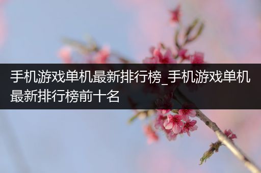 手机游戏单机最新排行榜_手机游戏单机最新排行榜前十名