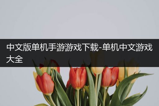 中文版单机手游游戏下载-单机中文游戏大全