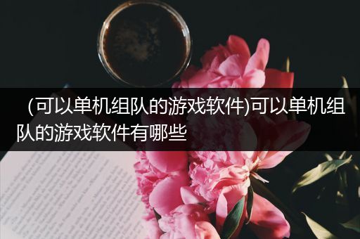 （可以单机组队的游戏软件)可以单机组队的游戏软件有哪些