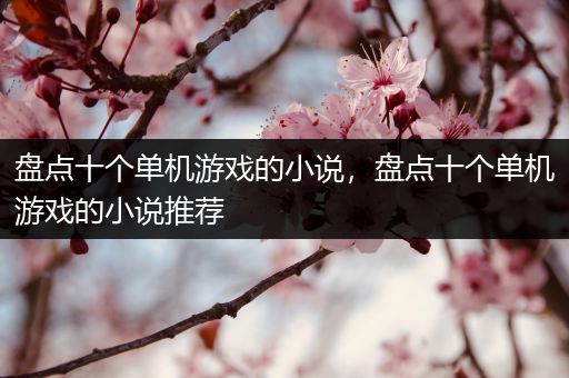 盘点十个单机游戏的小说，盘点十个单机游戏的小说推荐