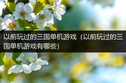 以前玩过的三国单机游戏（以前玩过的三国单机游戏有哪些）