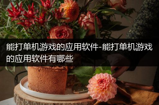能打单机游戏的应用软件-能打单机游戏的应用软件有哪些