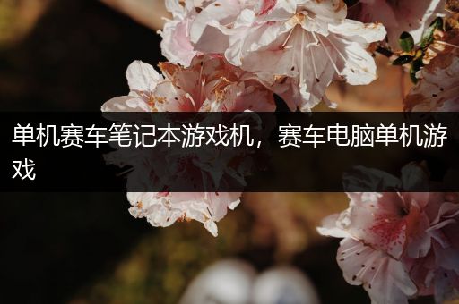 单机赛车笔记本游戏机，赛车电脑单机游戏