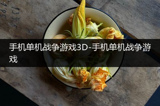 手机单机战争游戏3D-手机单机战争游戏