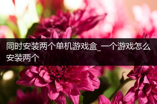 同时安装两个单机游戏盒_一个游戏怎么安装两个