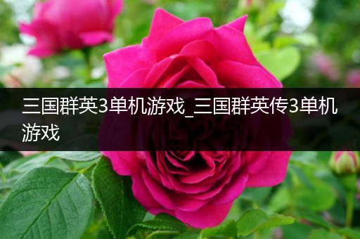 三国群英3单机游戏_三国群英传3单机游戏