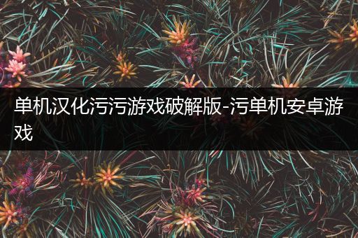 单机汉化污污游戏破解版-污单机安卓游戏