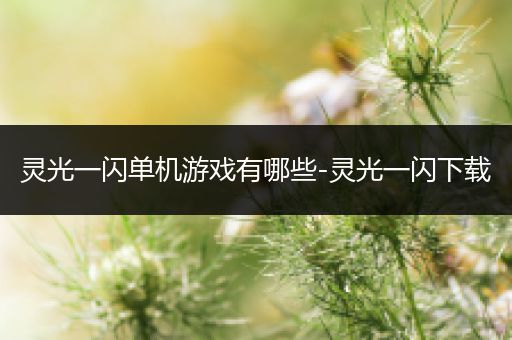 灵光一闪单机游戏有哪些-灵光一闪下载