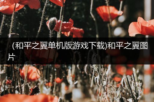 （和平之翼单机版游戏下载)和平之翼图片