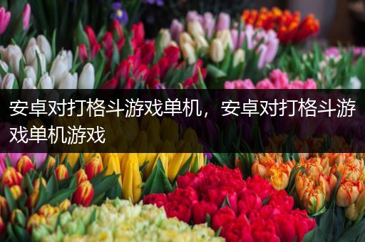 安卓对打格斗游戏单机，安卓对打格斗游戏单机游戏