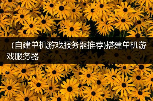（自建单机游戏服务器推荐)搭建单机游戏服务器
