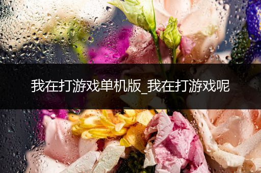 我在打游戏单机版_我在打游戏呢
