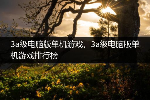 3a级电脑版单机游戏，3a级电脑版单机游戏排行榜