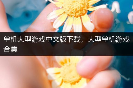 单机大型游戏中文版下载，大型单机游戏合集