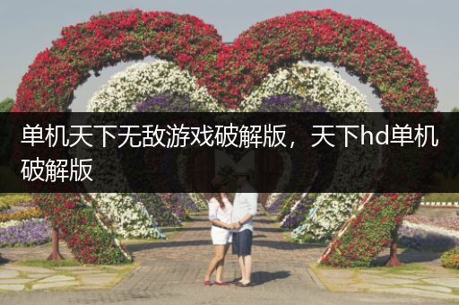 单机天下无敌游戏破解版，天下hd单机破解版