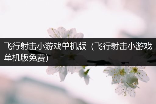 飞行射击小游戏单机版（飞行射击小游戏单机版免费）