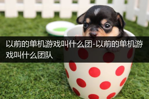 以前的单机游戏叫什么团-以前的单机游戏叫什么团队