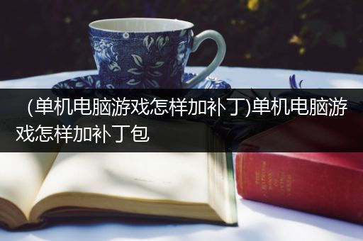 （单机电脑游戏怎样加补丁)单机电脑游戏怎样加补丁包