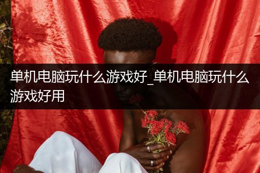单机电脑玩什么游戏好_单机电脑玩什么游戏好用